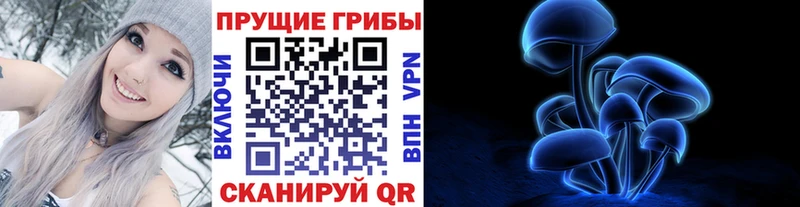 MEGA ТОР  магазин продажи   даркнет телеграм  Псилоцибиновые грибы Psilocybine cubensis  Волжск 