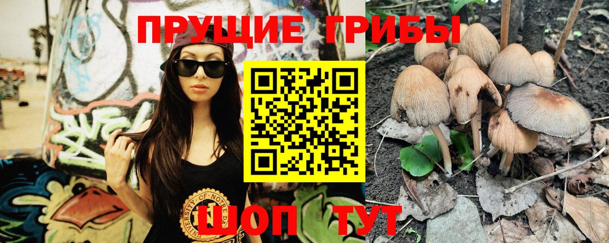 Галлюциногенные грибы Psilocybe Волжск